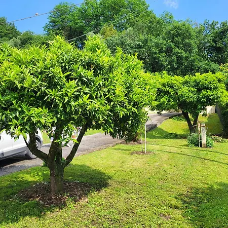 The House Of Citrus - Amazing Near Viareggio And Lucca * Stiava